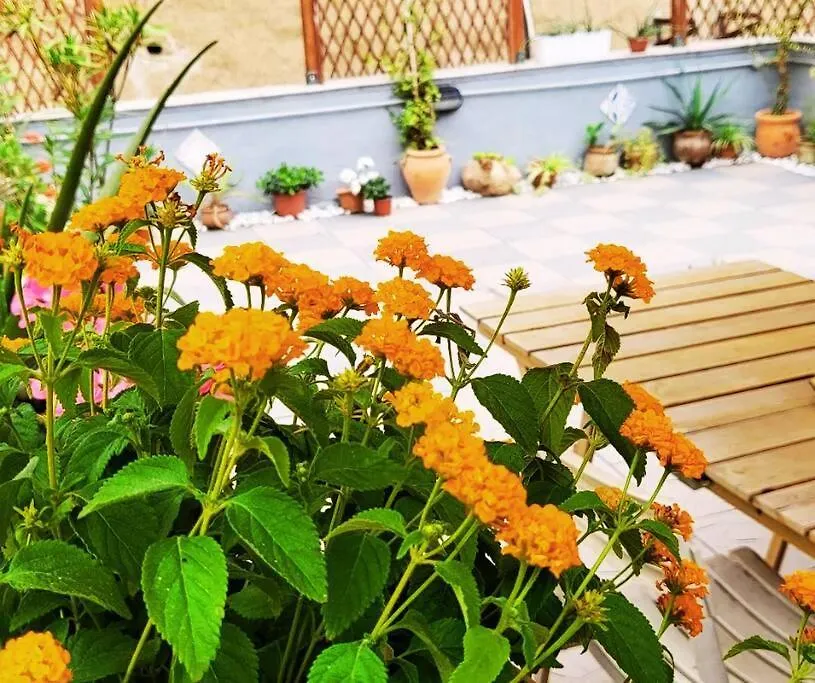 Casetta Poli- Appartamento Con Terrazza - Centro Storico Palermo